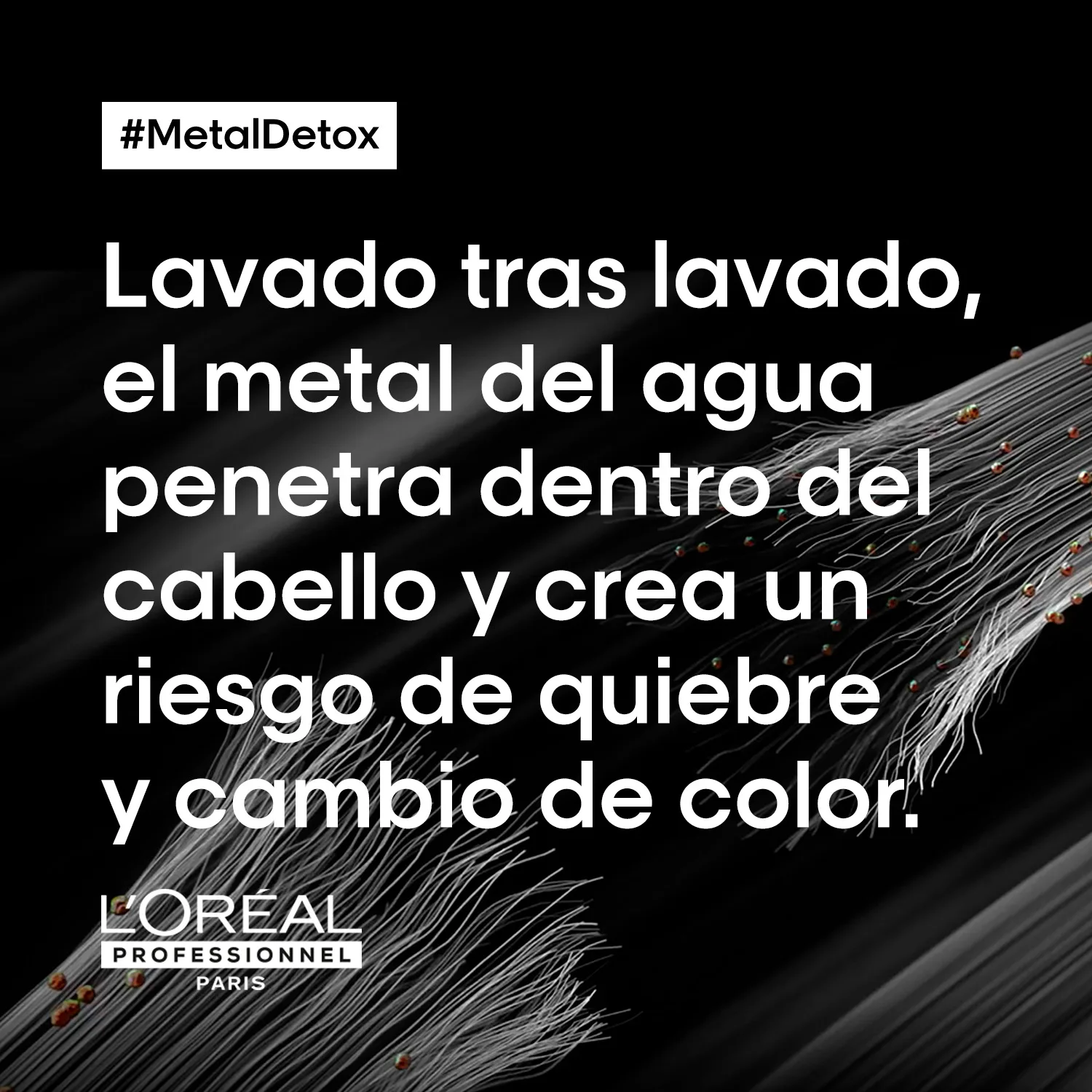 Máscara Metal Detox | 250ml | L'Oréal Professionnel - Imagen 7